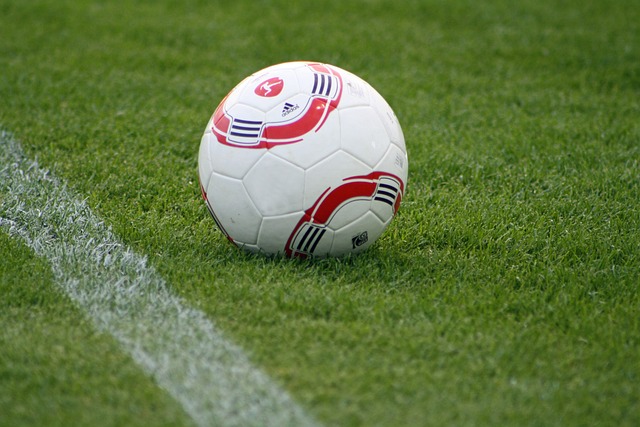 以合理的价 以合理的价