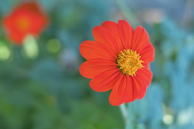 一场不容错 一场不容错