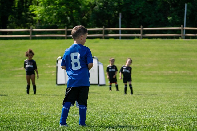 在意大利足 在意大利足