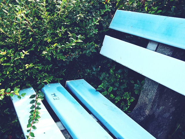 告別法國功 告別法國功