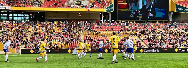 这个主题 这个主题